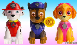 汪汪队视频,勇敢狗狗们的冒险之旅